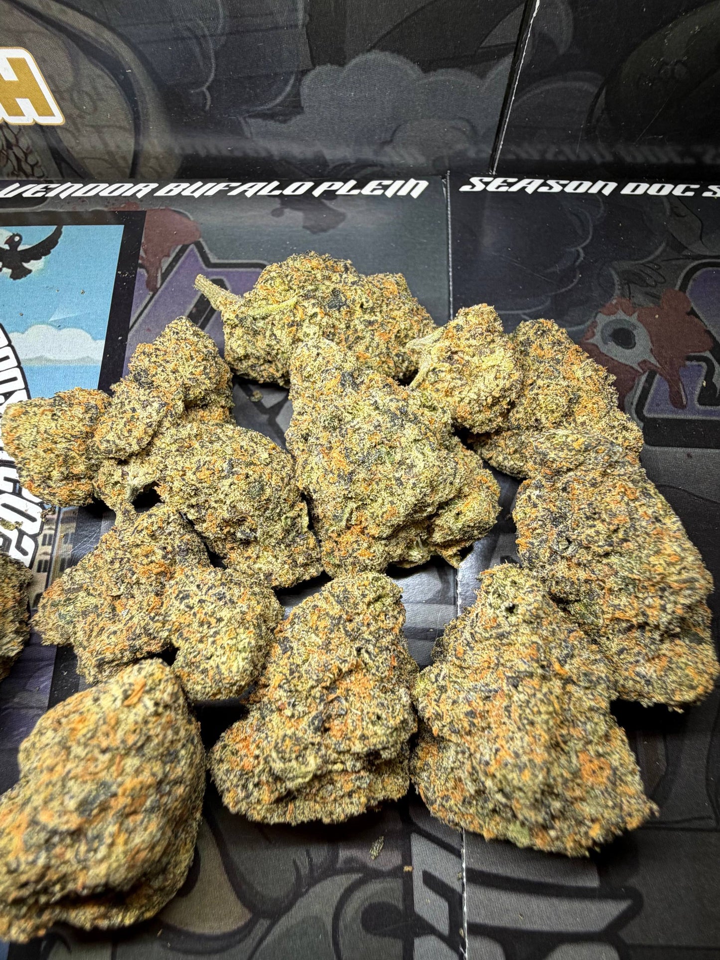 Top Cali Imported Bufalo Plein - RUNTZ BERRY
