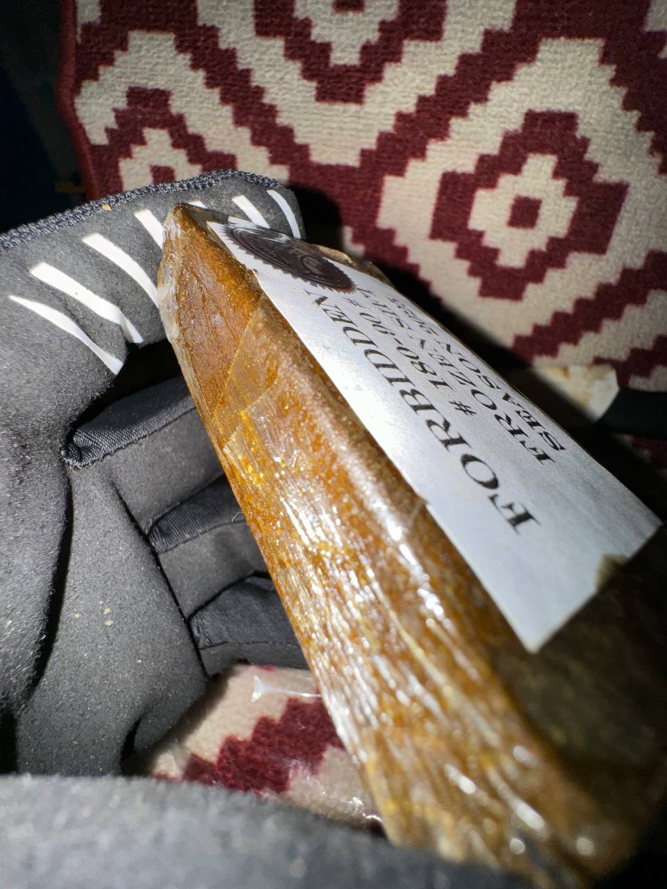 𝑭𝑹𝑶𝒁𝑬𝑵 180/90𝒖 2025 𝑷𝑹𝑬𝑴𝑰𝑼𝑴 𝑩𝑼𝑭𝑨𝑳𝑶 𝑷𝑳𝑬𝑰𝑵 - 𝑭𝑶𝑹𝑩𝑰𝑫𝑫𝑬𝑵 𝑱𝑶𝒀